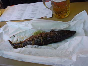 regfest10